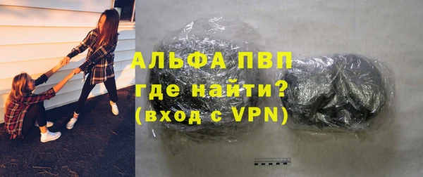 мяу мяу мука Баксан