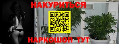 индика Апшеронск