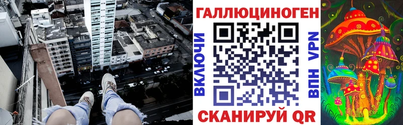 наркотики  Аша  Псилоцибиновые грибы Psilocybe 