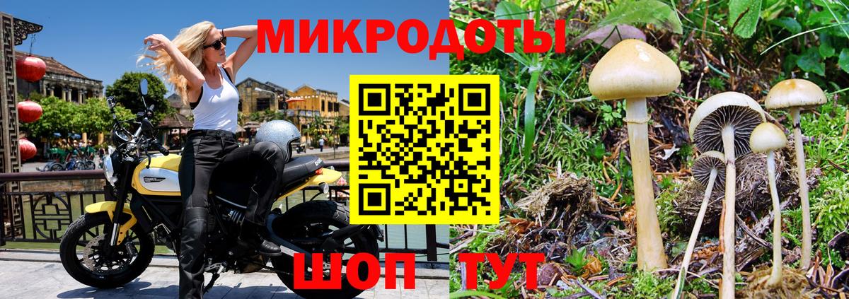 хочу   Галлюциногенные грибы MAGIC MUSHROOMS  Вход с VPN  Аша 