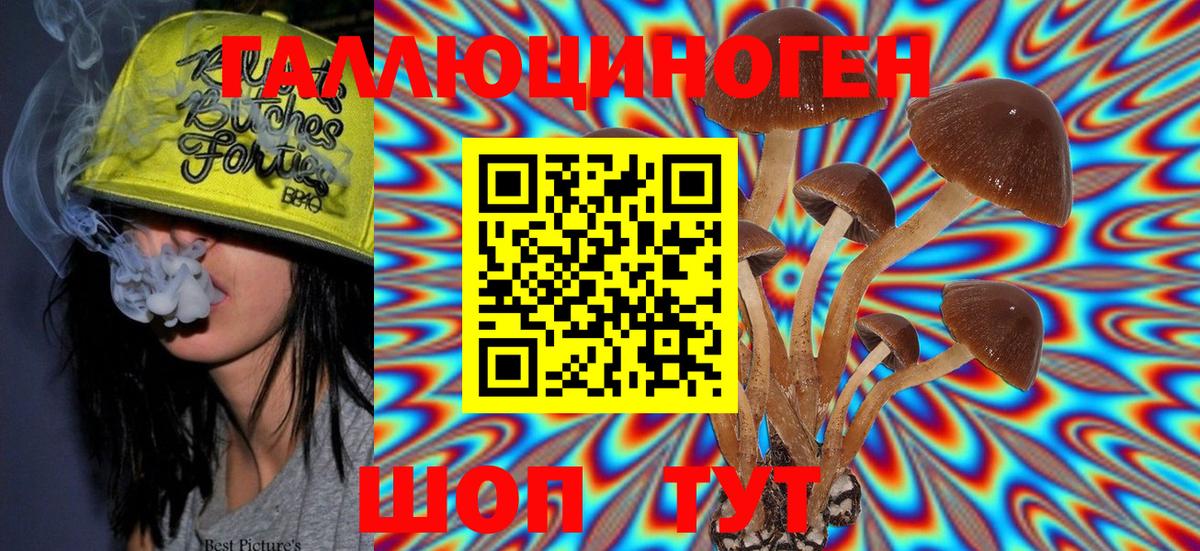 Псилоцибиновые грибы мицелий  где найти   Аша 