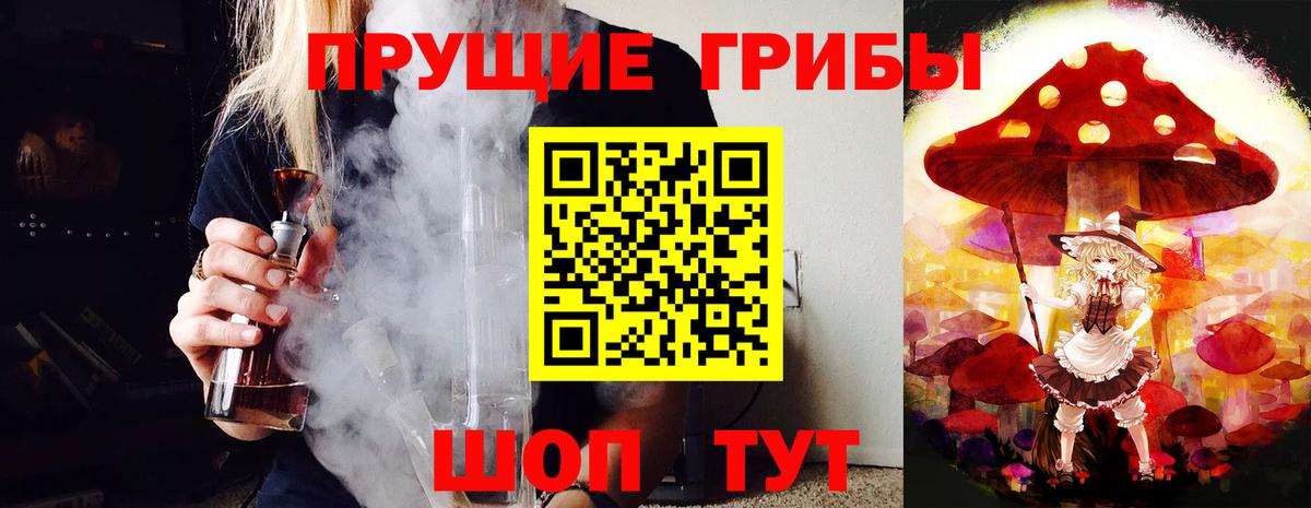 Псилоцибиновые грибы прущие грибы Аша